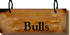 Charbray Bulls